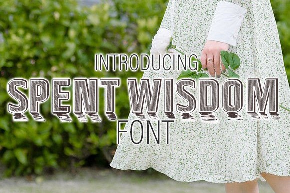 Spent Wisdom: A Retro Display Font That Elevates Handmade and Craft Designs